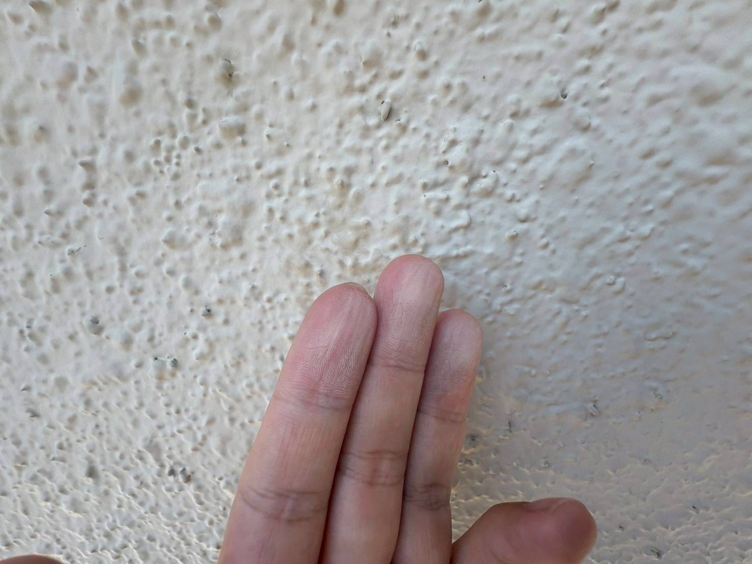 リメイクハウス　ムキムキ塗装　ALCパネル外壁　事例