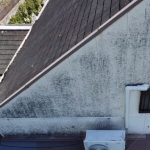 高松市で見られる外壁の黒ずみや塗膜劣化