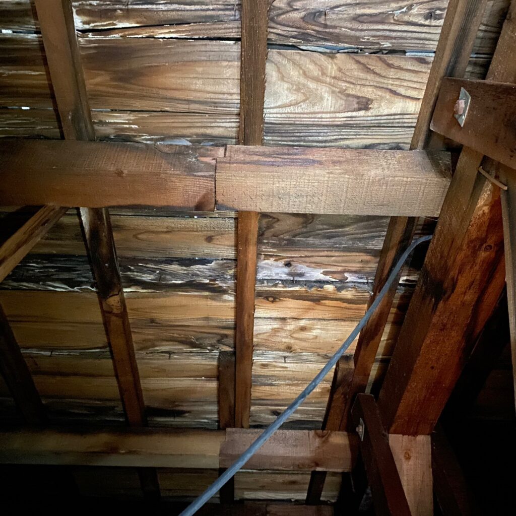 雨漏り修繕工事屋根内部の劣化状況