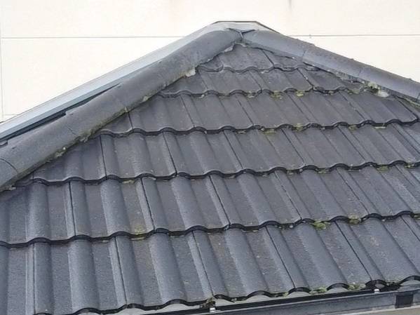 将輝建工・リメイクハウス・ムキムキ塗装　劣化症状（コケ・カビ）