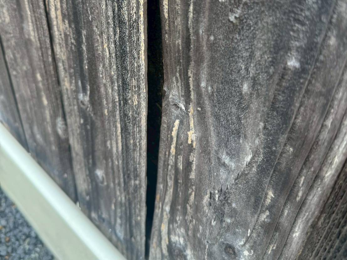 リメイクハウス　ムキムキ　木質外壁　事例