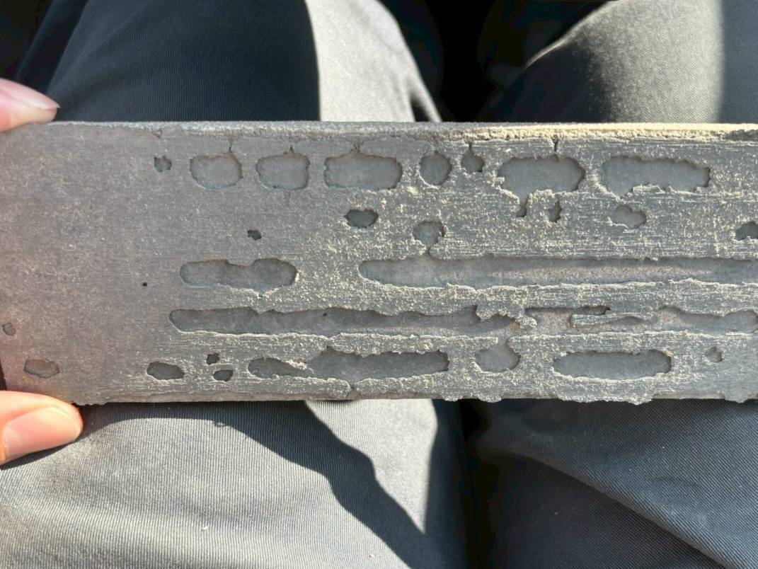 リメイクハウス ムキムキ塗装 タイル外壁 事例