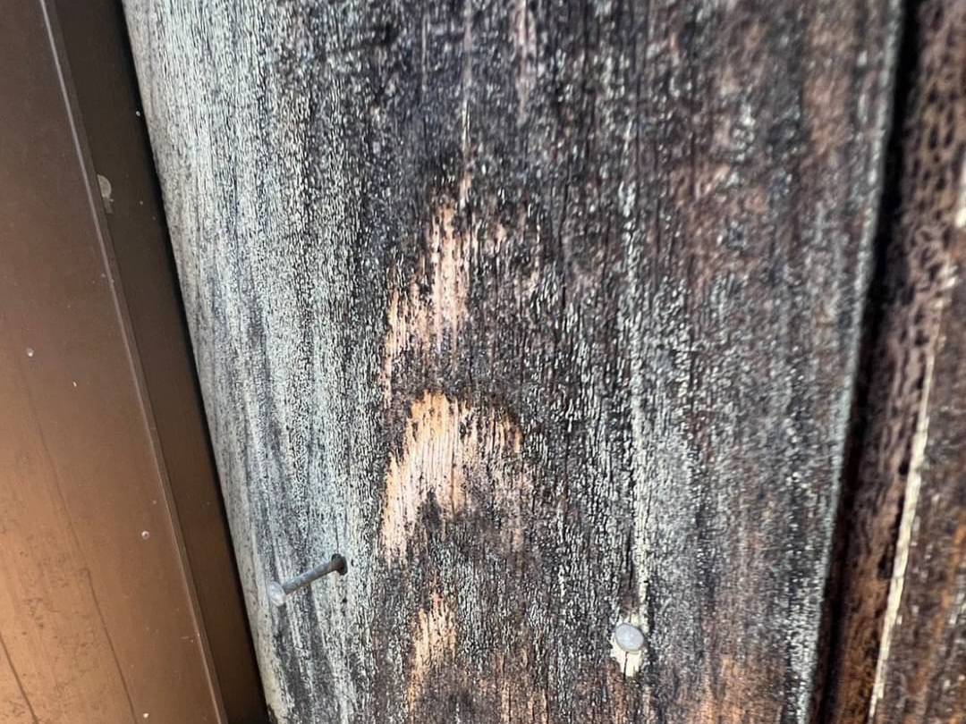 リメイクハウス　ムキムキ　木質外壁　事例