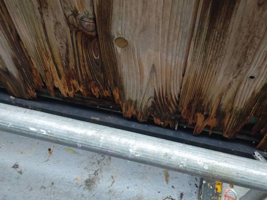 リメイクハウス　ムキムキ　木質外壁　事例