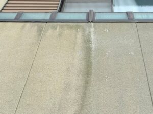モルタル外壁の劣化症状｜コケの発生