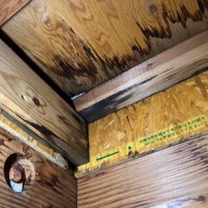 発生した雨漏りのシミと内部劣化の様子