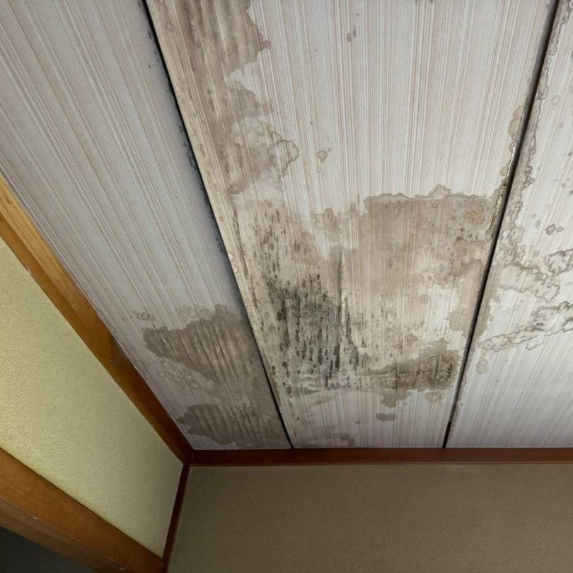 雨漏りが原因の天井カビ