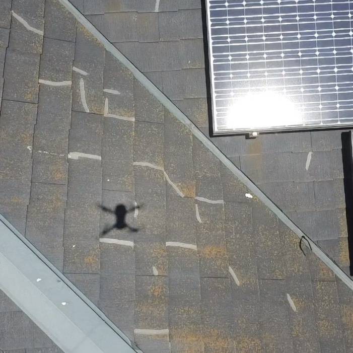 屋根専門店による化粧スレート屋根の現地調査と劣化診断