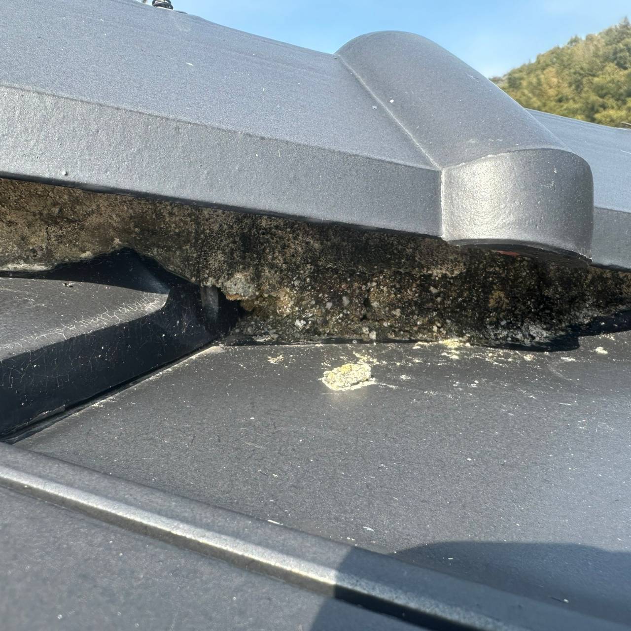 防災瓦イーグルエクサでも発生した棟部分の不具合・雨漏り調査事例 香川県愛媛県