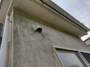 外壁にコケや藻が発生している劣化症状(防水性能低下のサイン)