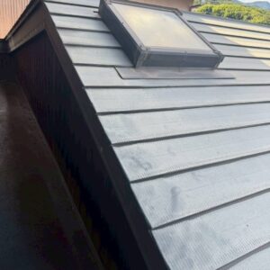 メンテナンスを行っていない状態のガルバリウム鋼板の屋根